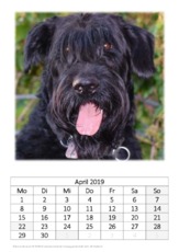 April_Riesenschnauzer.pdf